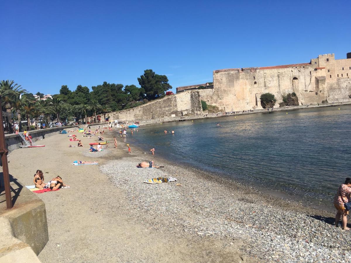Pieds Dans L'eau A Collioure